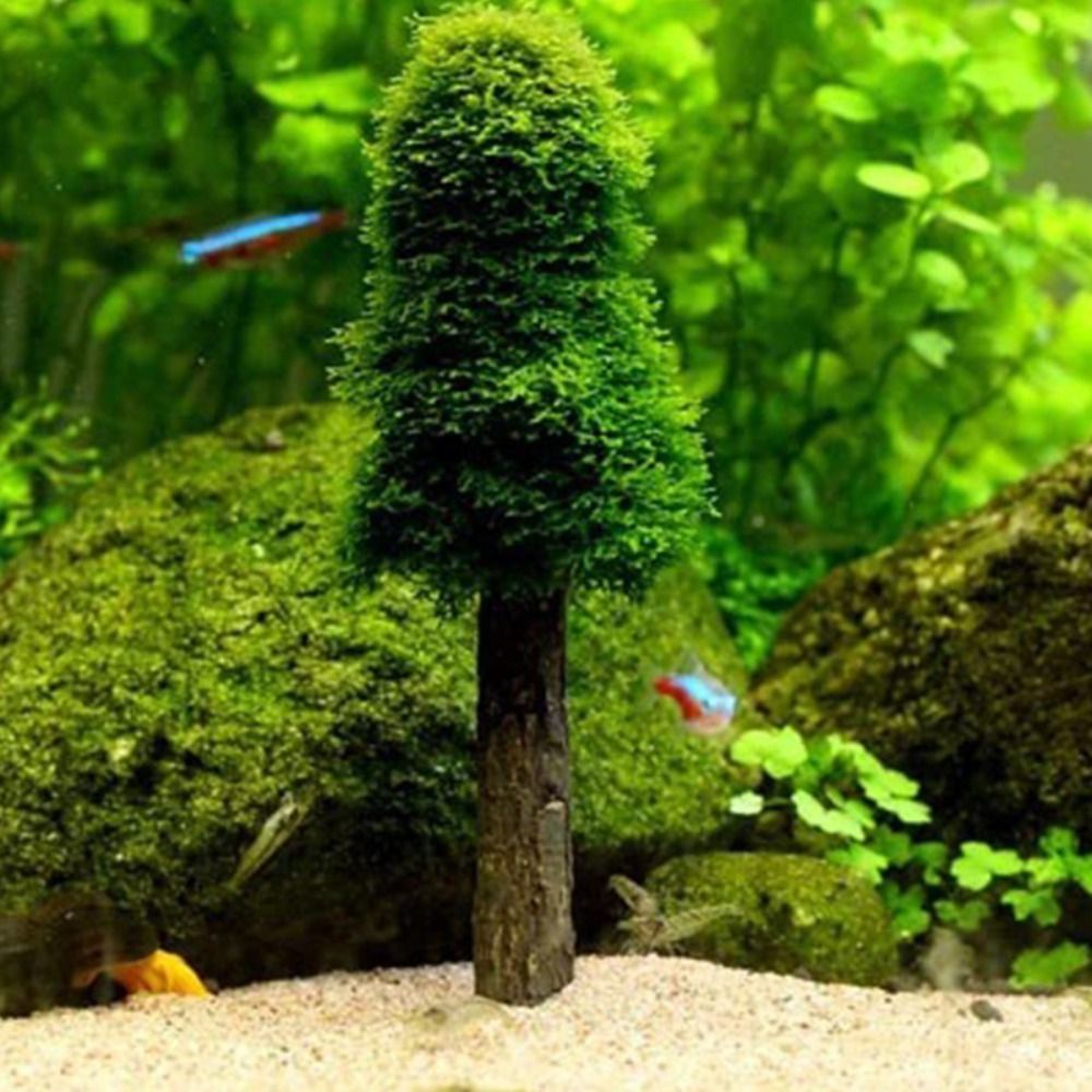 Planted Aquarium Moss - Árvore de Natal Simulada para Aquário,