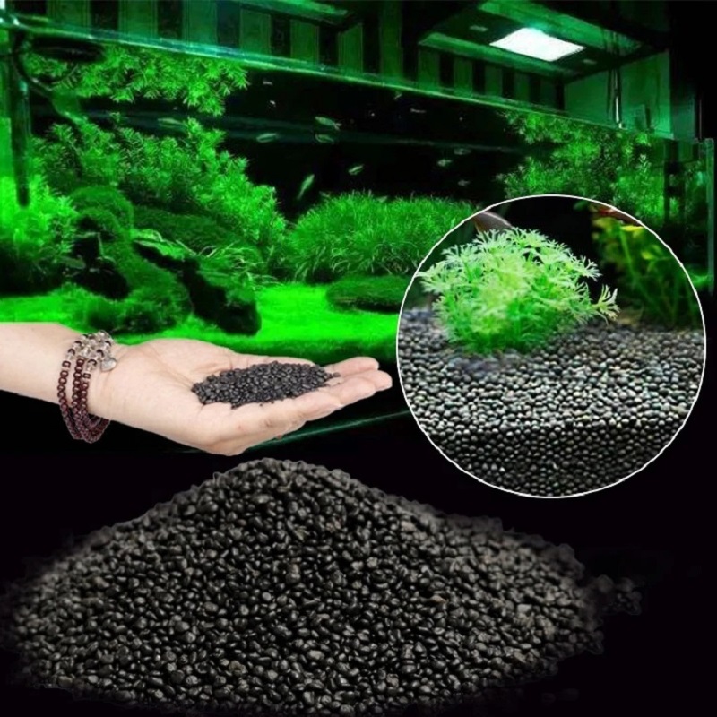 Aquarium Plant Seeds - Tanque de peixes água grama lama
