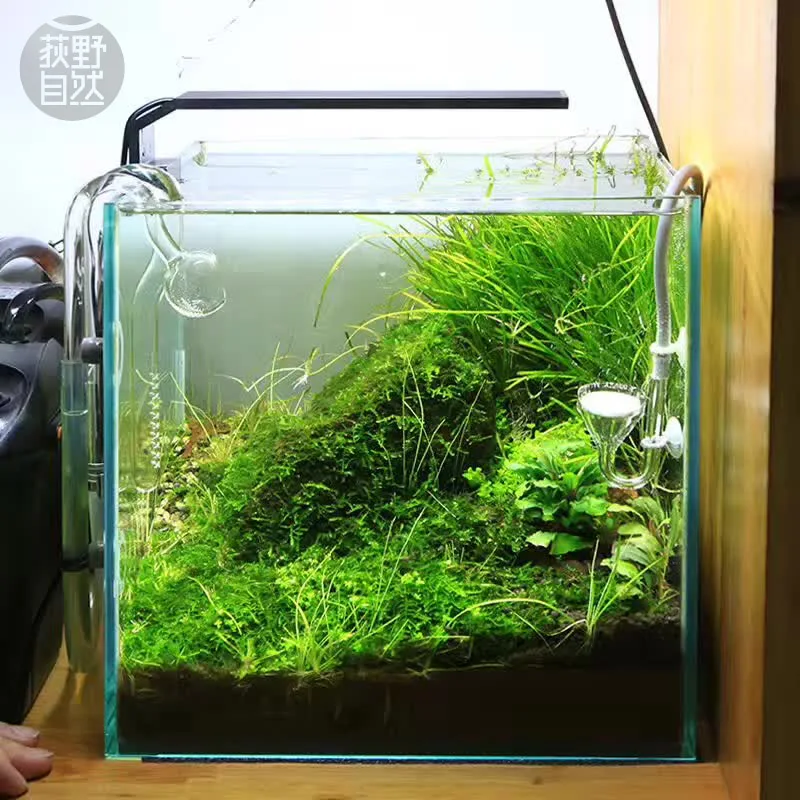 Aquarium Plant Grow Light - Chihiros Série C ADA Estilo Planta