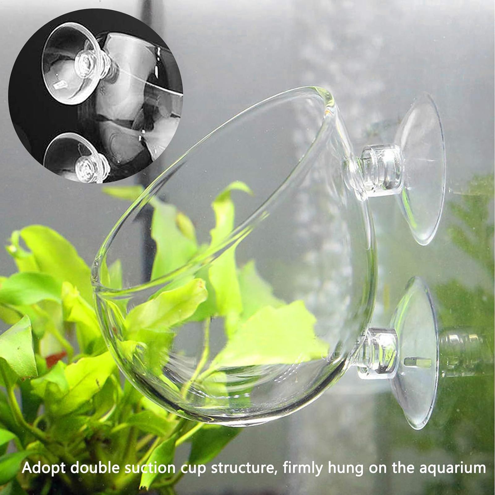 Aquarium Plant Vine - Vaso de vidro para plantas de