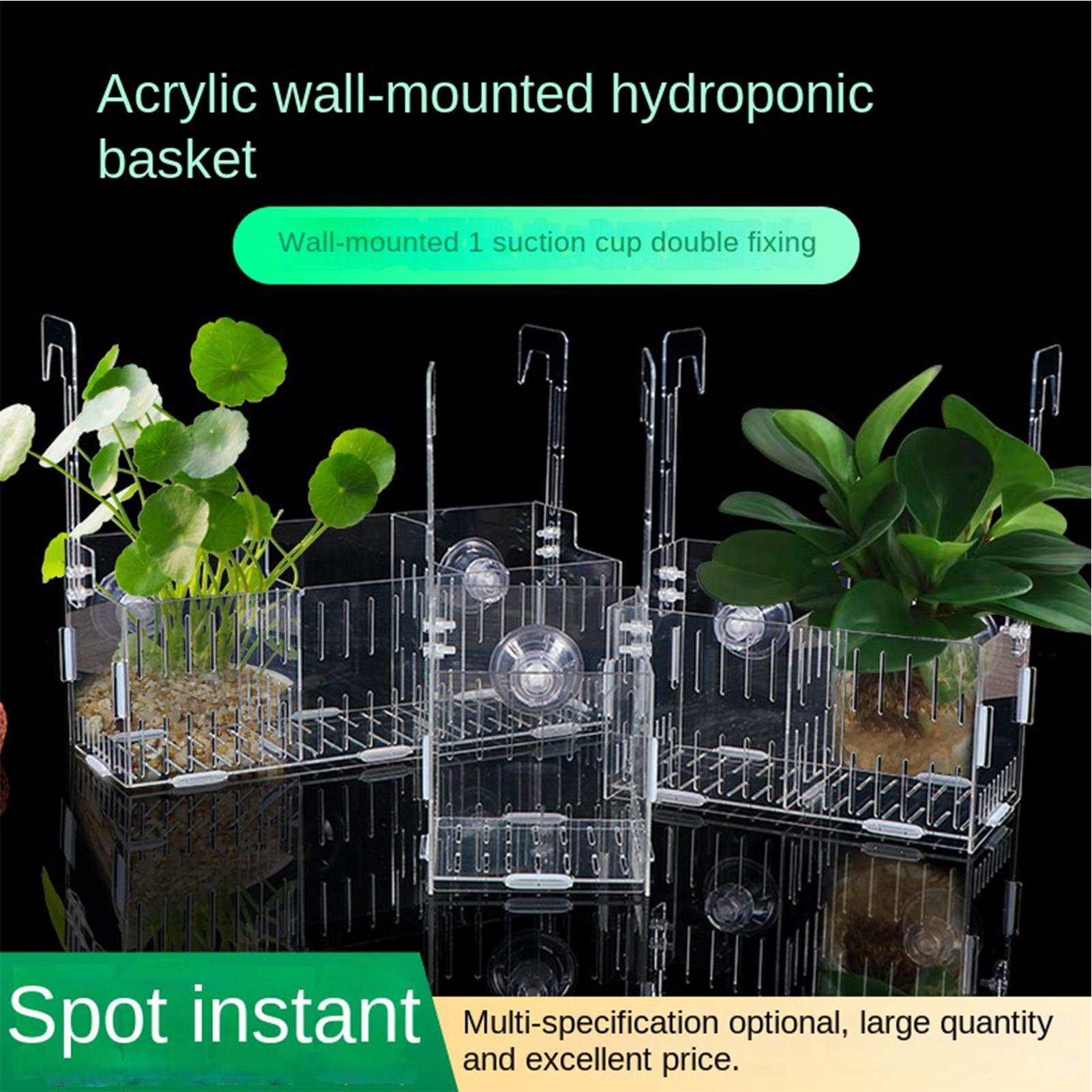 Aquarium Plant Vine - Suporte Ajustável para Plantas de Aquário