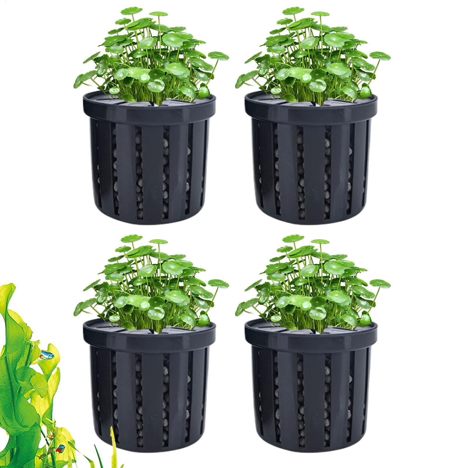 Aquarium Plant Live - Conjunto de 4 Vasos Plantadores para
