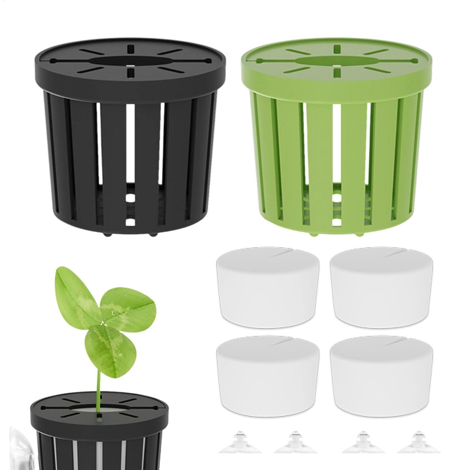 Aquarium Plant Live - Conjunto de 4 Peças de Plantas