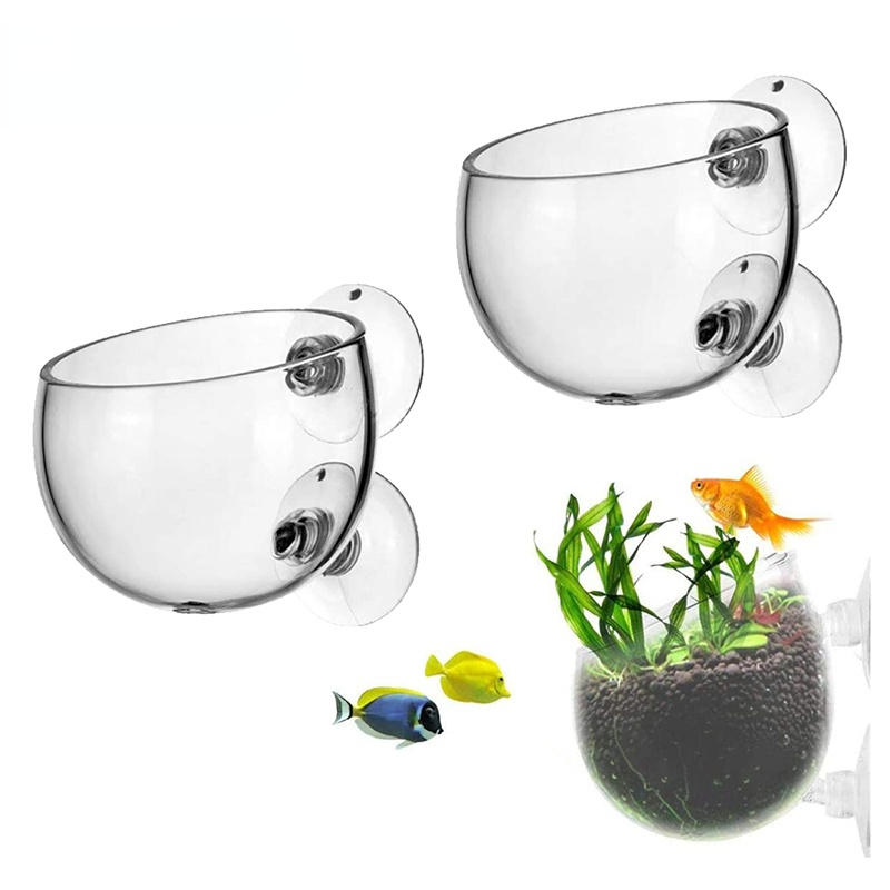 Aquarium Plant Seeds - Novo vaso de plantas de aquário,