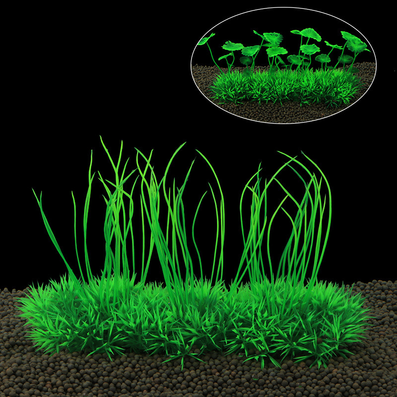 Planted Aquarium Models - Decoração de planta de água de