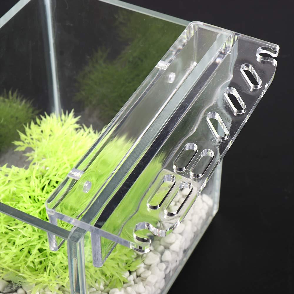 Planted Aquarium Maintenance - Suporte Organizador de Acessórios para Aquário: