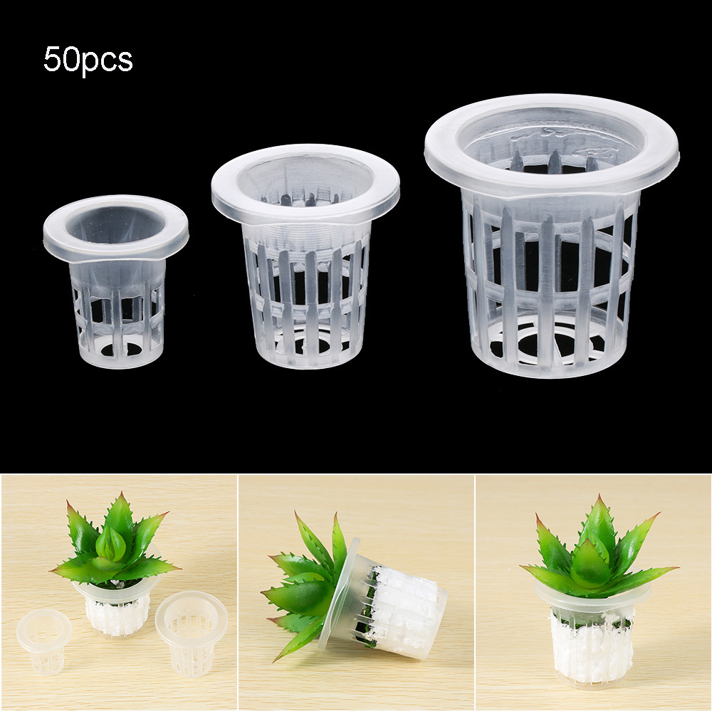 Aquarium Plant Seeds - 10/50 pçs suprimentos de jardim aquário