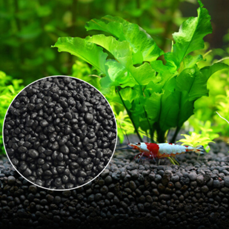 Planted Aquarium Moss - Solo para plantas do tanque de