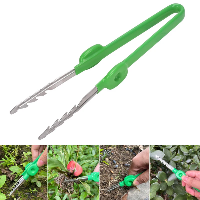 Planted Clip Tweezers - 1pc pinças de jardinagem planta suculenta