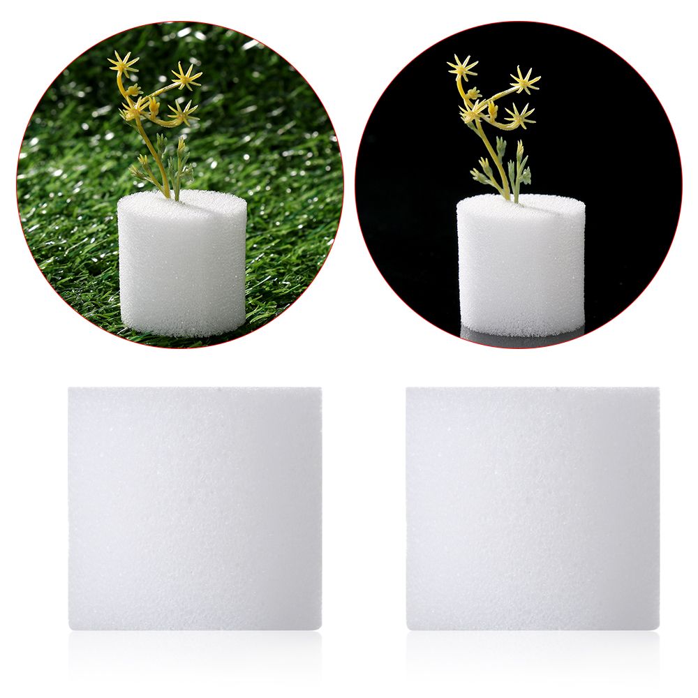 Aquarium Plant Seeds - 10/50 pçs durável jardim suprimentos aquário