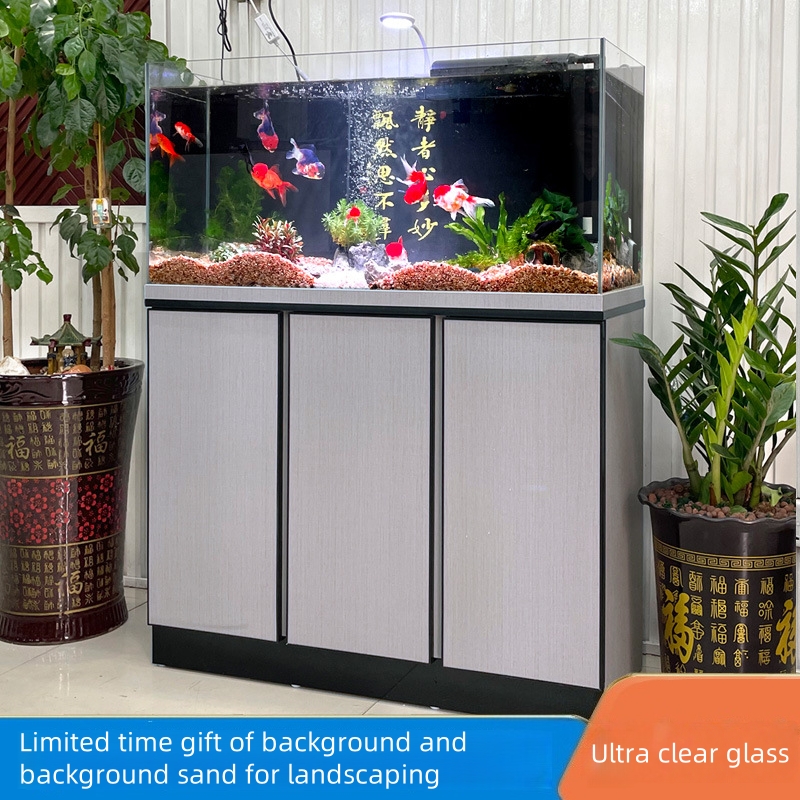Planted Aquarium Maintenance - Novo aquário plantado de vidro ultra