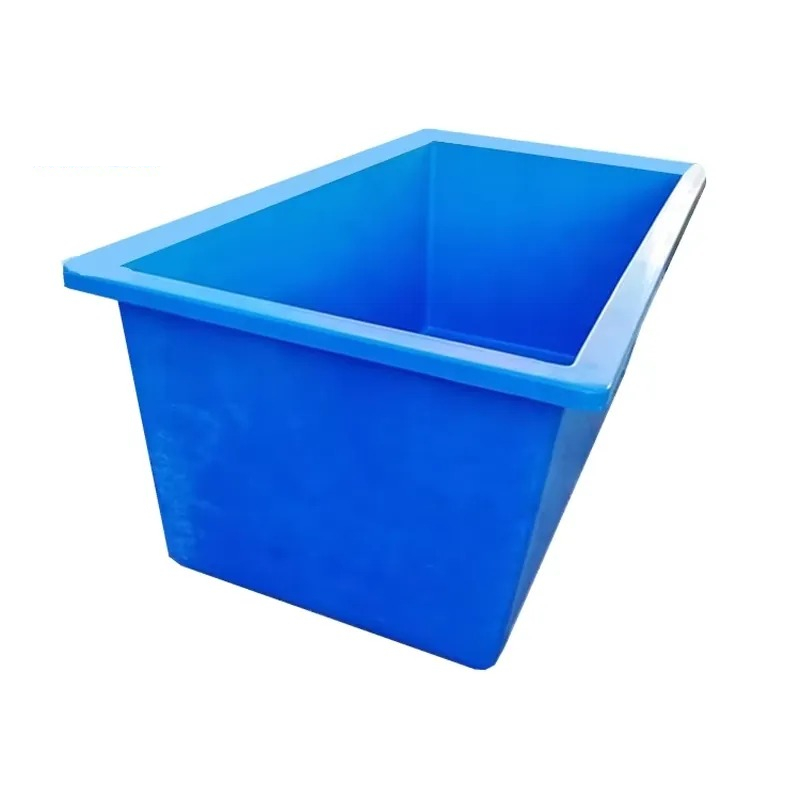 Aquarium Plant Seeds - Plantas Vivas para Aquário: Folhas e