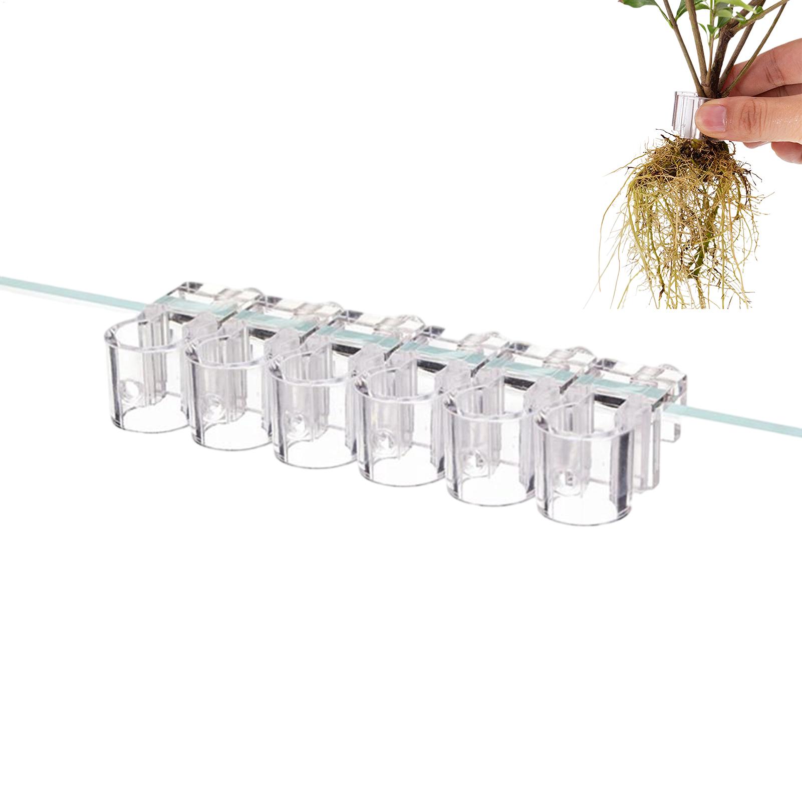 Aquarium Plant Live - Suporte para plantas para aquário, 6