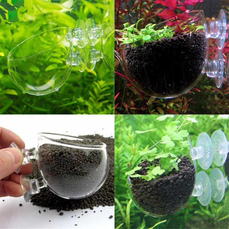 Aquarium Plant Seeds - Aquário Pendurado Vaso De Plantas De
