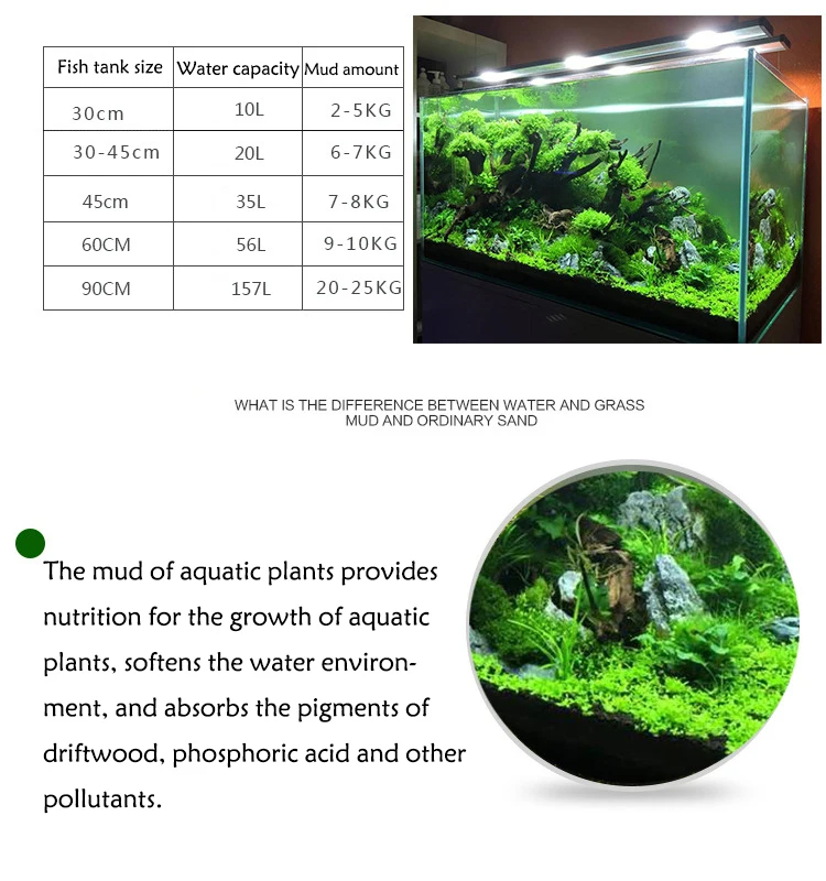 Tanque de peixes água grama la - Aquarium Plant Seeds avaliação e preço