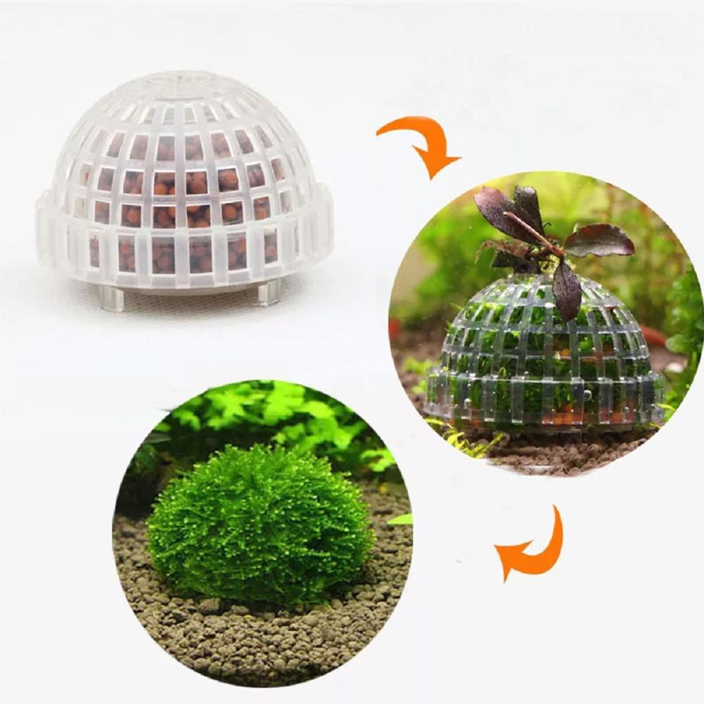 1pc aquário musgo bola suporte - Planted Aquarium Models avaliação e preço