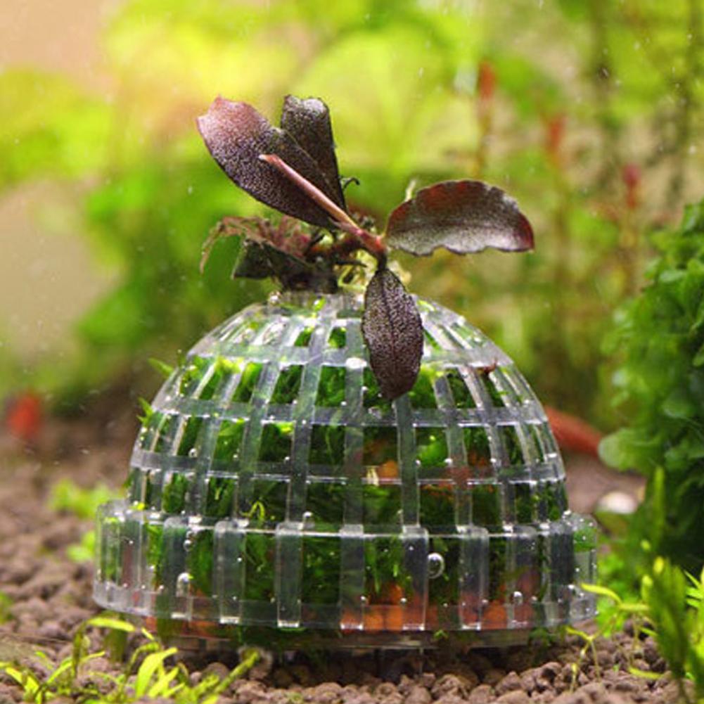 1pc aquário musgo bola suporte - Planted Aquarium Models avaliação e preço