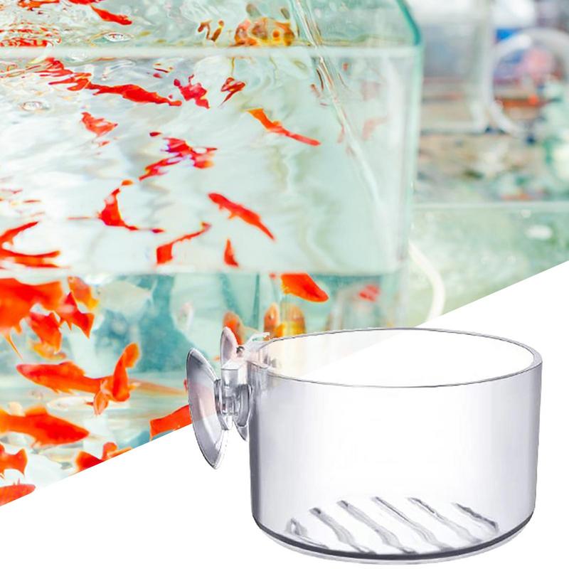 Vaso de vidro para plantas de  - Aquarium Plant Seeds avaliação e preço
