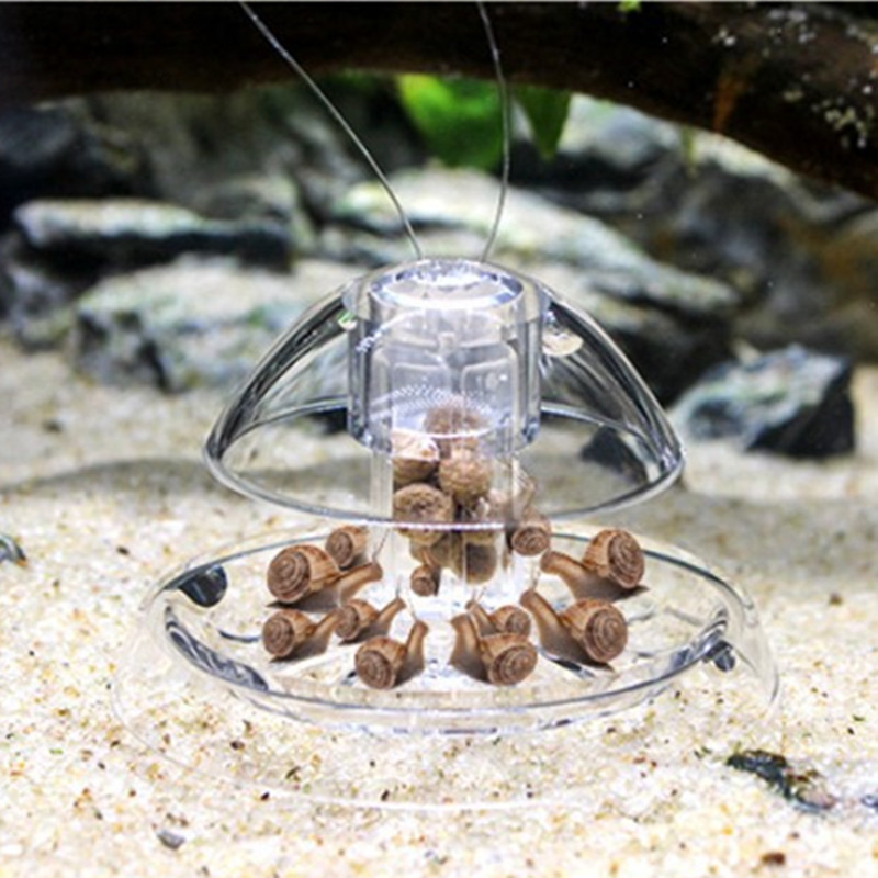 Caracol Armadilha Plástico Aqu - Planted Aquarium Tools avaliação e preço
