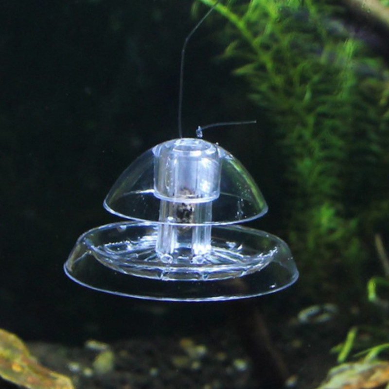 Caracol Armadilha Plástico Aqu - Planted Aquarium Tools avaliação e preço