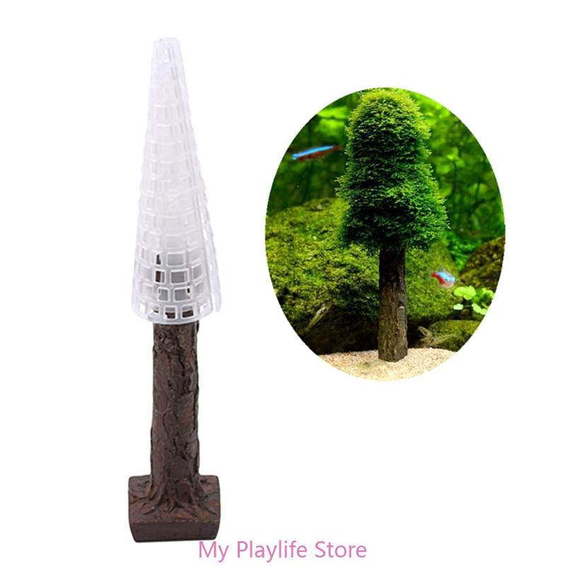 Decoração De Musgo De Aquário  - Planted Aquarium Moss avaliação e preço
