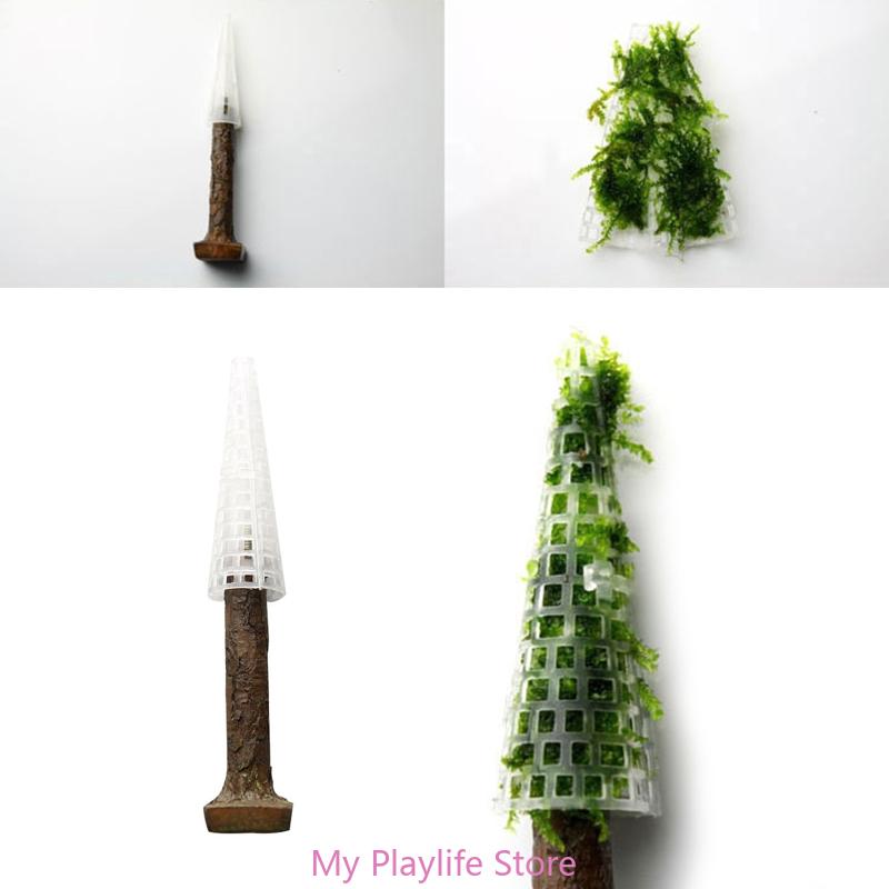 Decoração De Musgo De Aquário  - Planted Aquarium Moss avaliação e preço