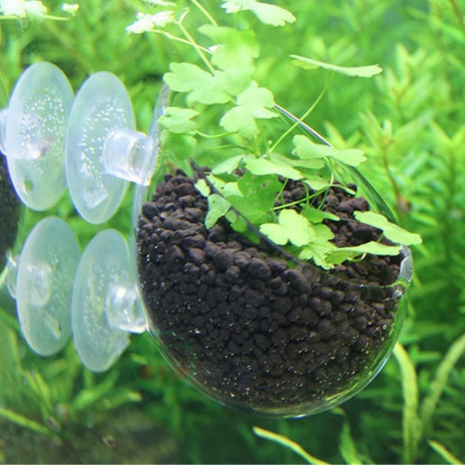 Suporte de Plantas para Aquári - Aquarium Plant Live avaliação e preço
