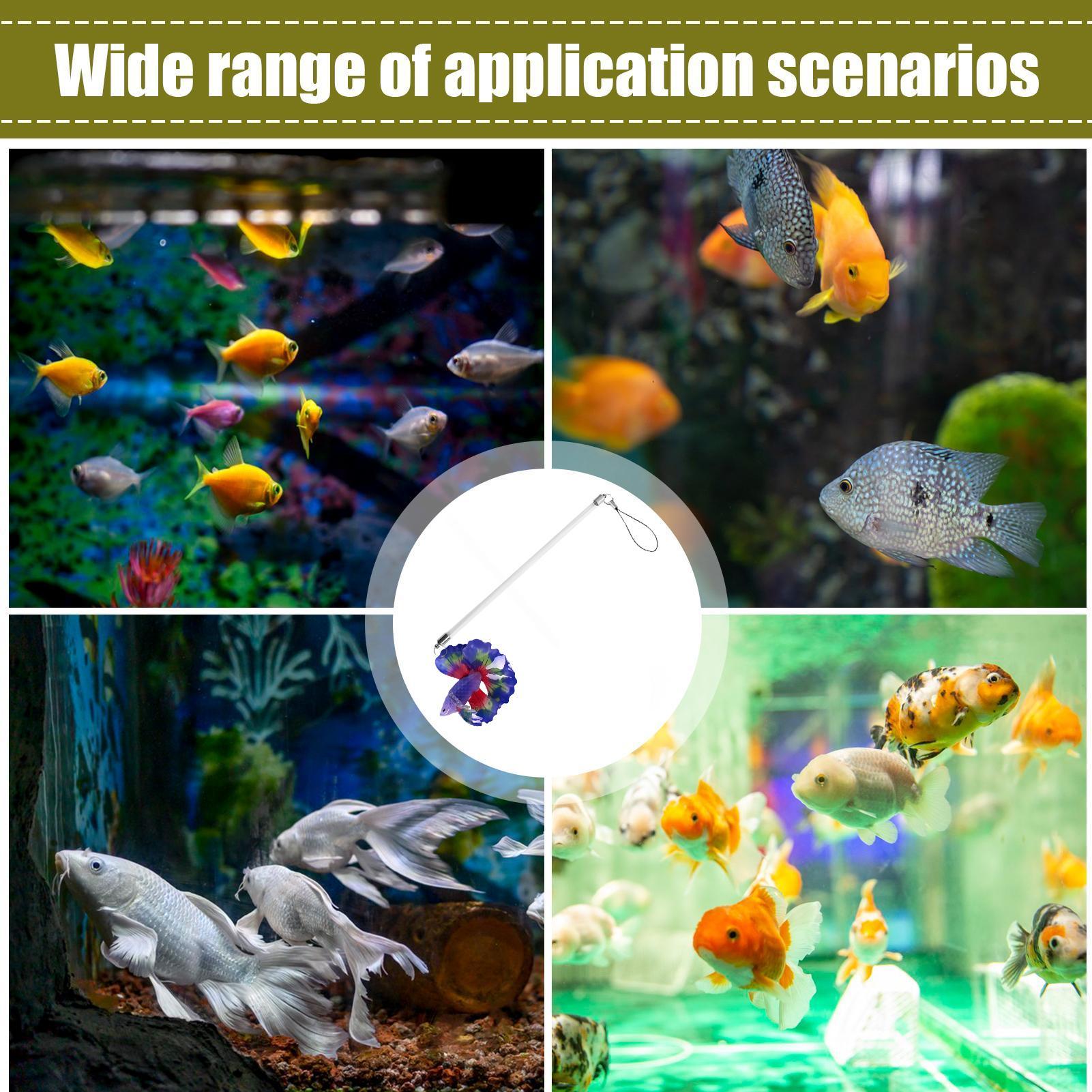 Varinha de treinamento para be - Planted Aquarium For Beginners avaliação e preço