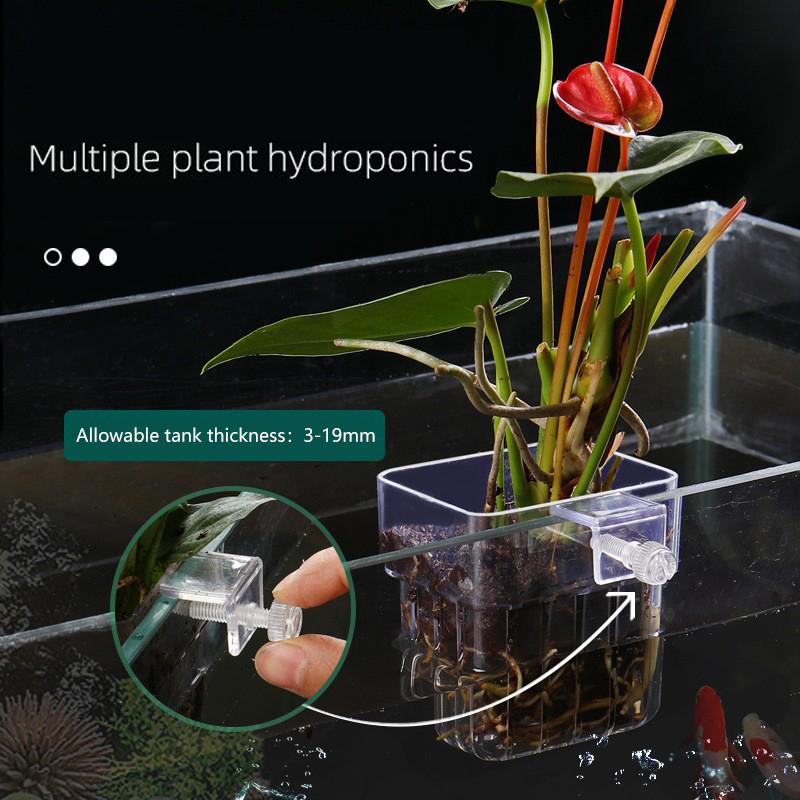 1pc cesta de plantas hidropôni - Aquarium Plant Seeds avaliação e preço