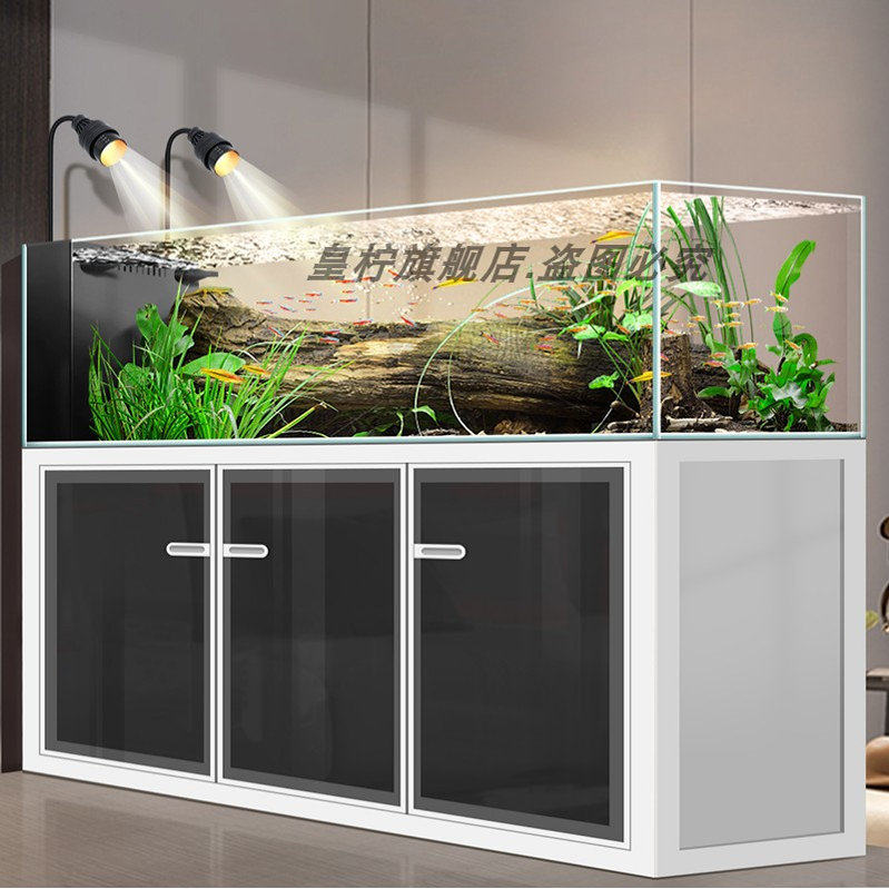Aquário Yjq Industrial Wind St - Aquarium Plant Vine avaliação e preço