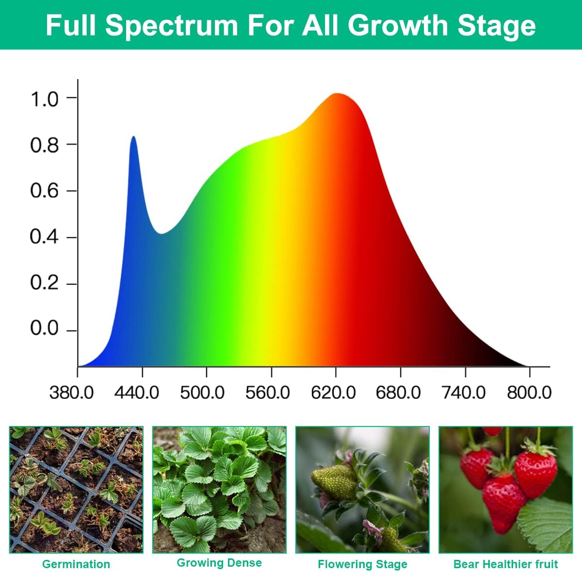 Led crescer lâmpadas planta es - Aquarium Plant Seeds avaliação e preço