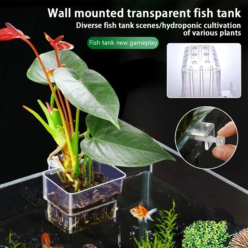 Cestas Suspensas para Aquário, - Aquarium Plant Live avaliação e preço
