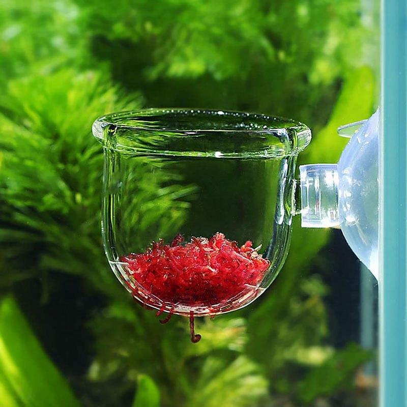 Aquário Vidro Planta Vaso com  - Aquarium Plant Seeds avaliação e preço