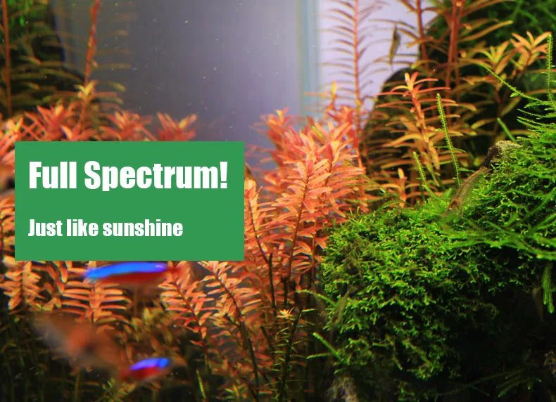 Chihiros Série C ADA Estilo Pl - Aquarium Plant Grow Light avaliação e preço
