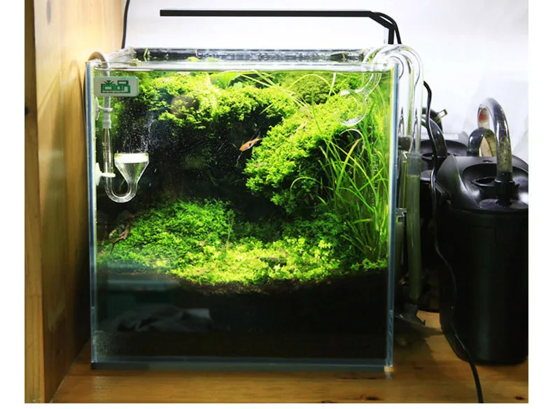 Chihiros Série C ADA Estilo Pl - Aquarium Plant Grow Light avaliação e preço