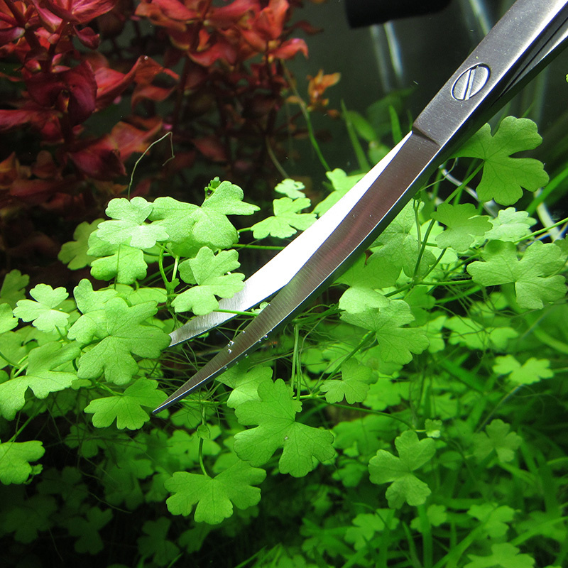 Acessórios para aquário, aço i - Planted Aquarium Tools avaliação e preço