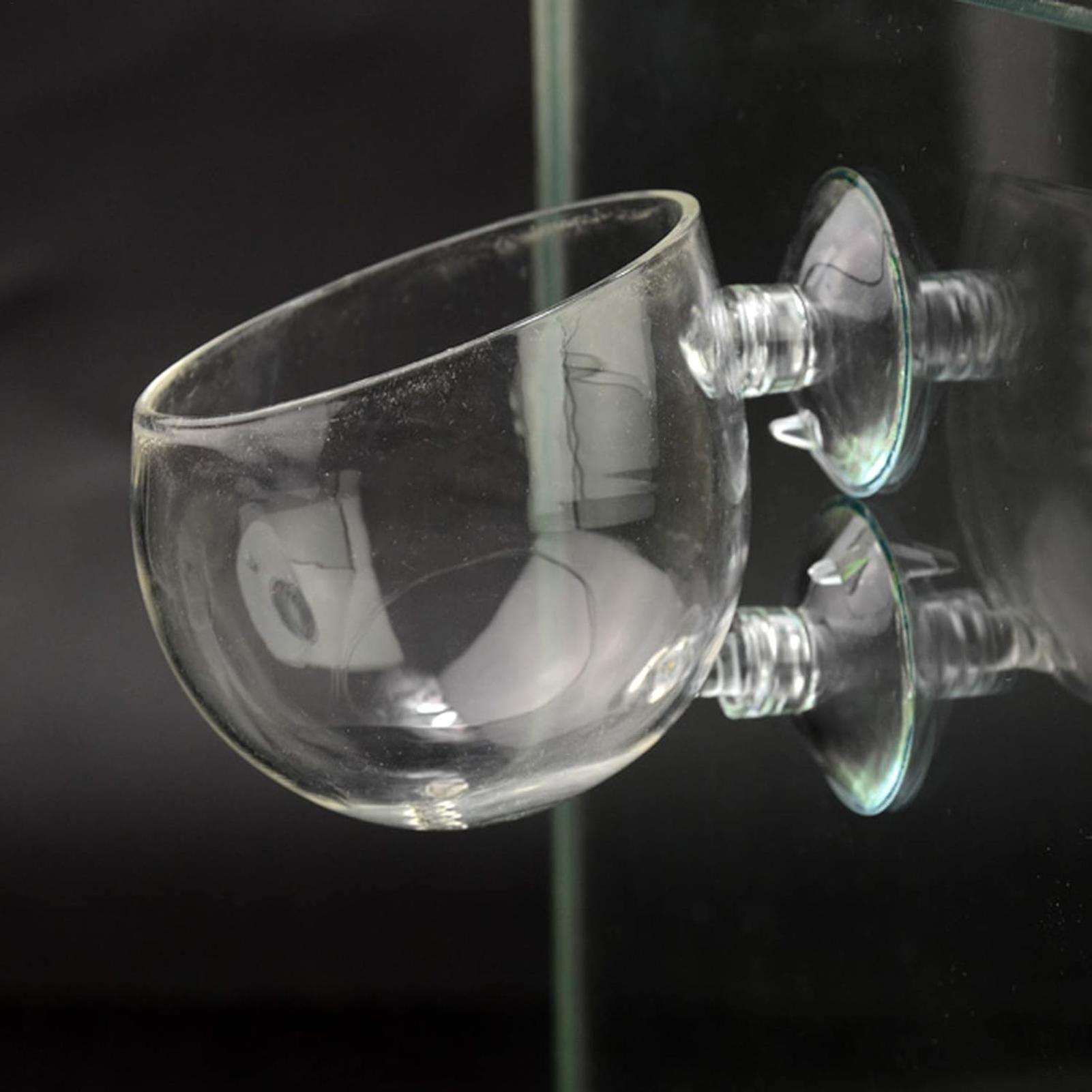 Vaso de vidro para plantas de  - Aquarium Plant Vine avaliação e preço