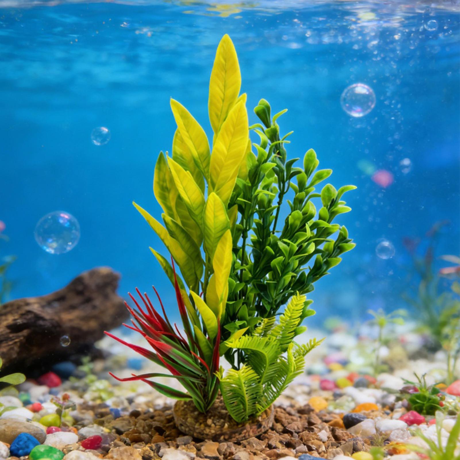 Plantas Artificiais para Aquár - Planted Aquarium For Beginners avaliação e preço