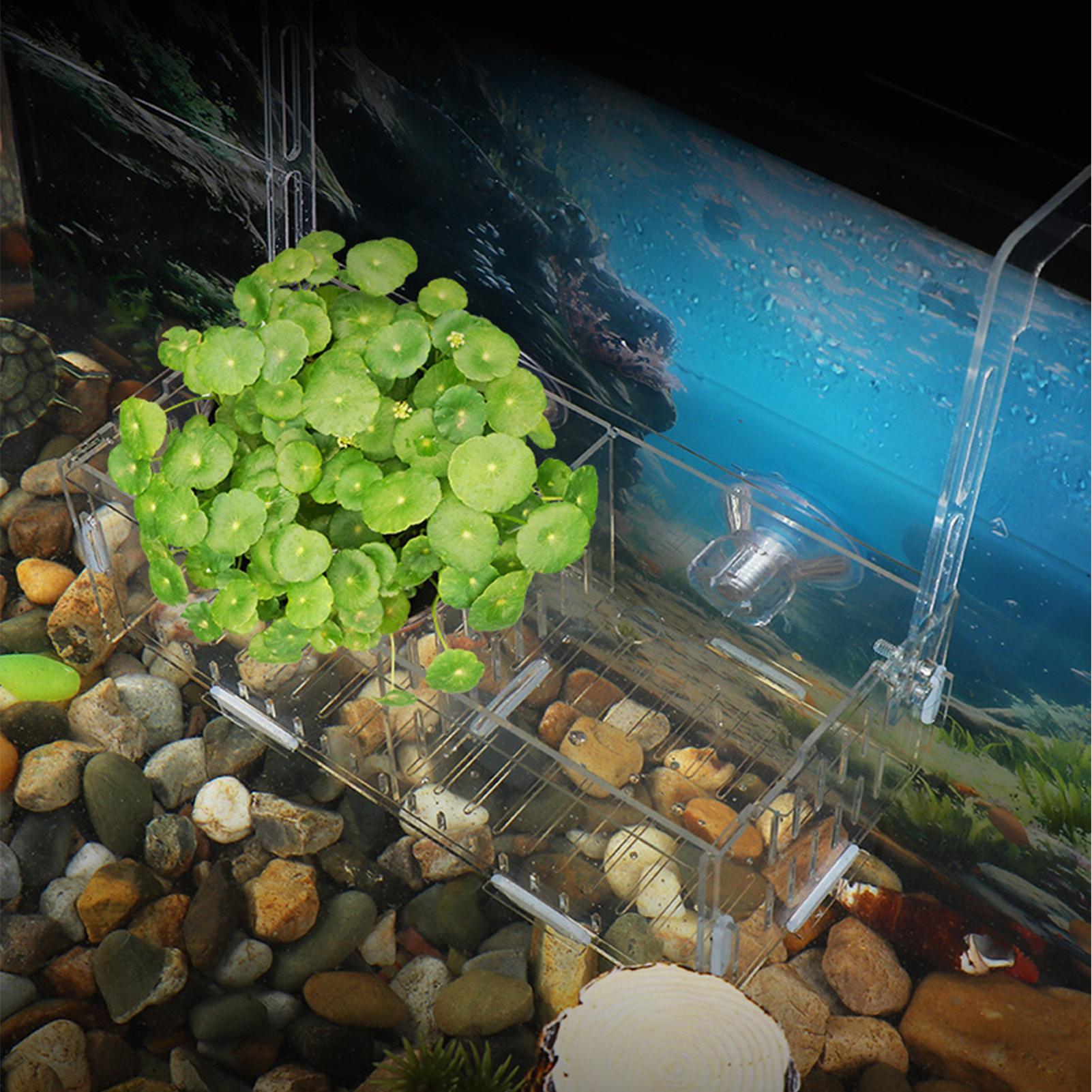Suporte Ajustável para Plantas - Aquarium Plant Vine avaliação e preço