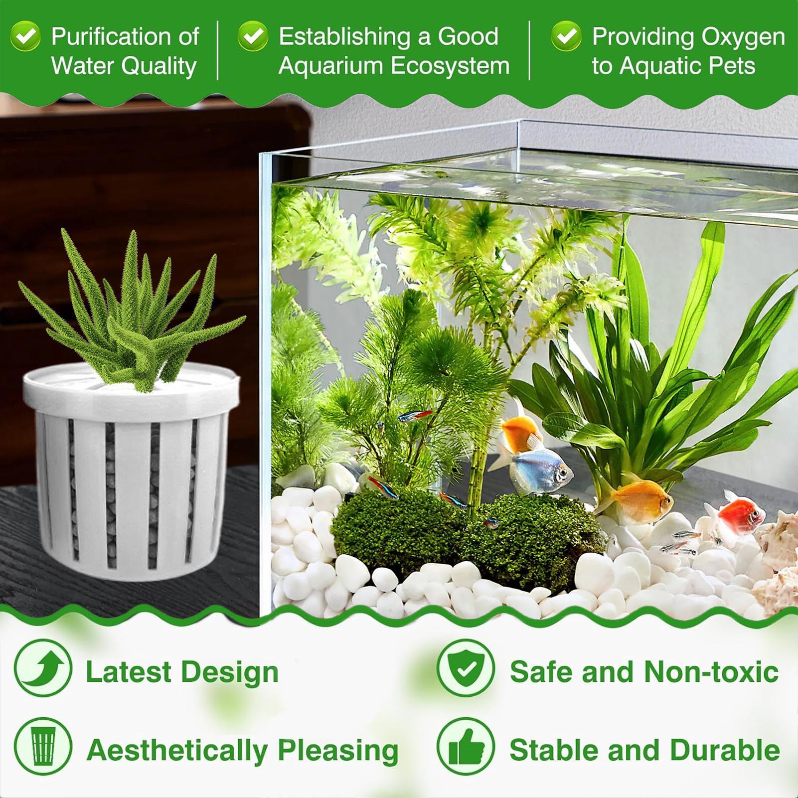 Conjunto de 4 Vasos Plantadore - Aquarium Plant Live avaliação e preço