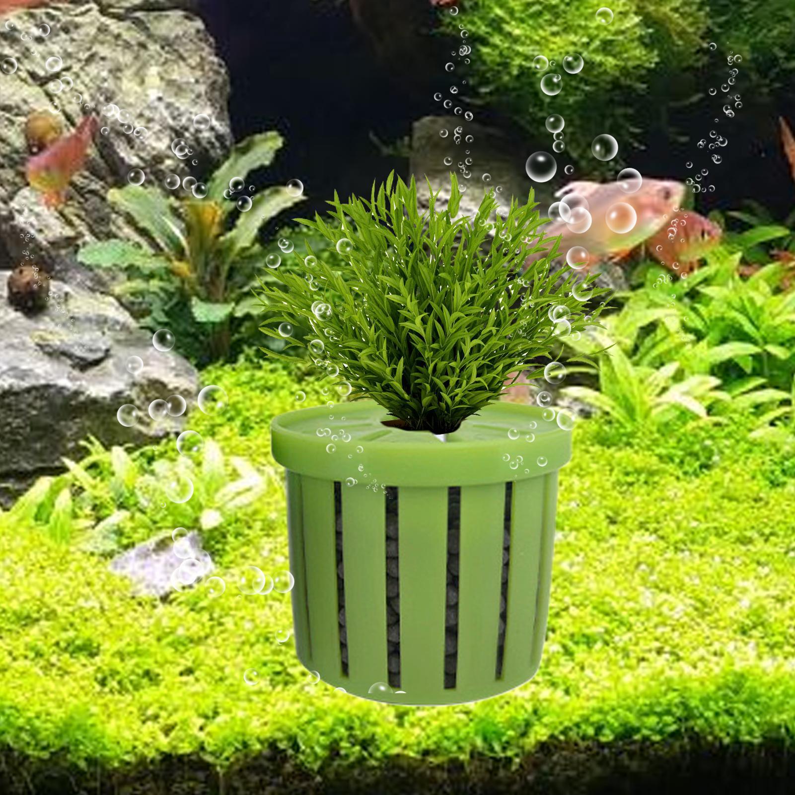 Conjunto de 4 Vasos Plantadore - Aquarium Plant Live avaliação e preço