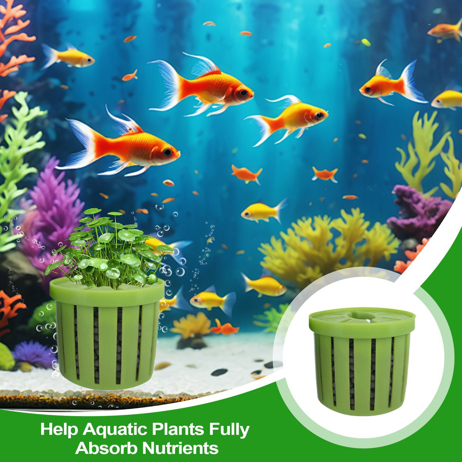 Conjunto de 4 Vasos Plantadore - Aquarium Plant Live avaliação e preço