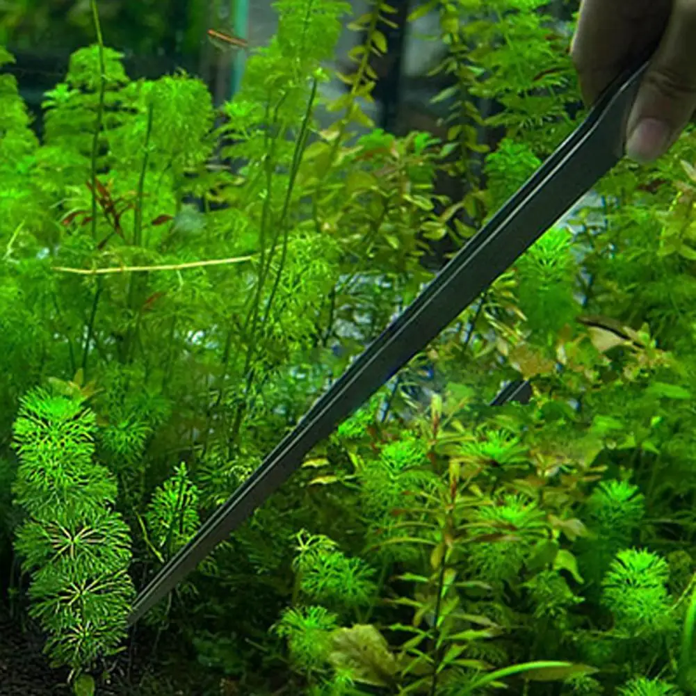 Pinças de aço inoxidável para  - Planted Aquarium Maintenance avaliação e preço