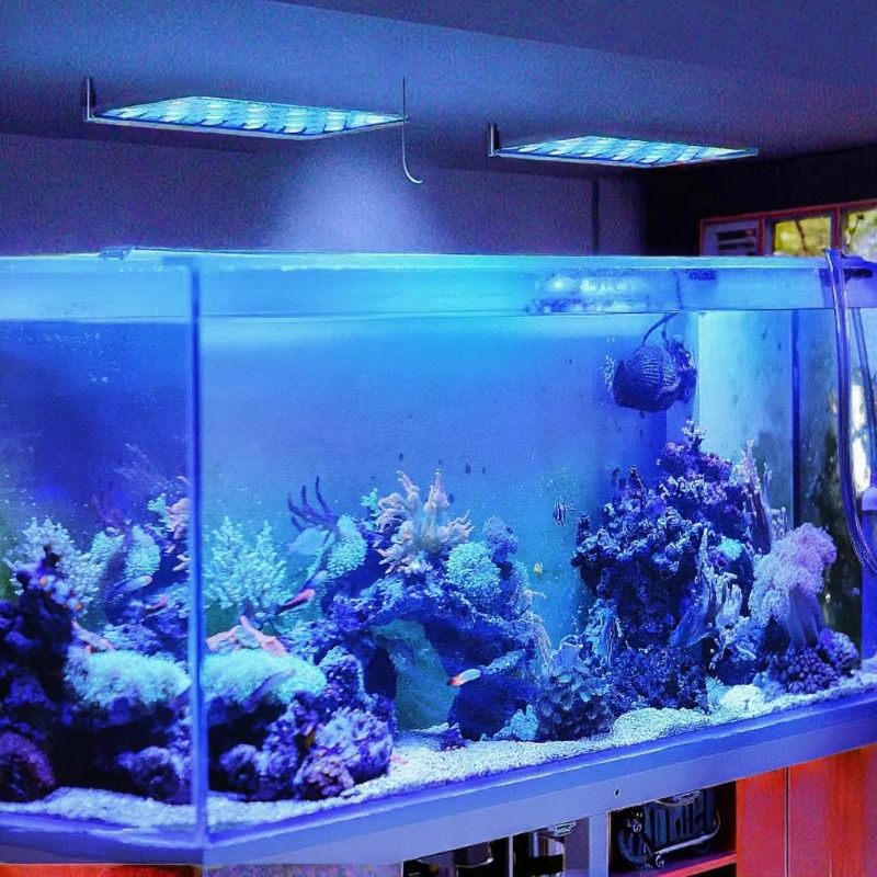 Luz LED para Aquário de 165W c - Planted Aquarium Models avaliação e preço