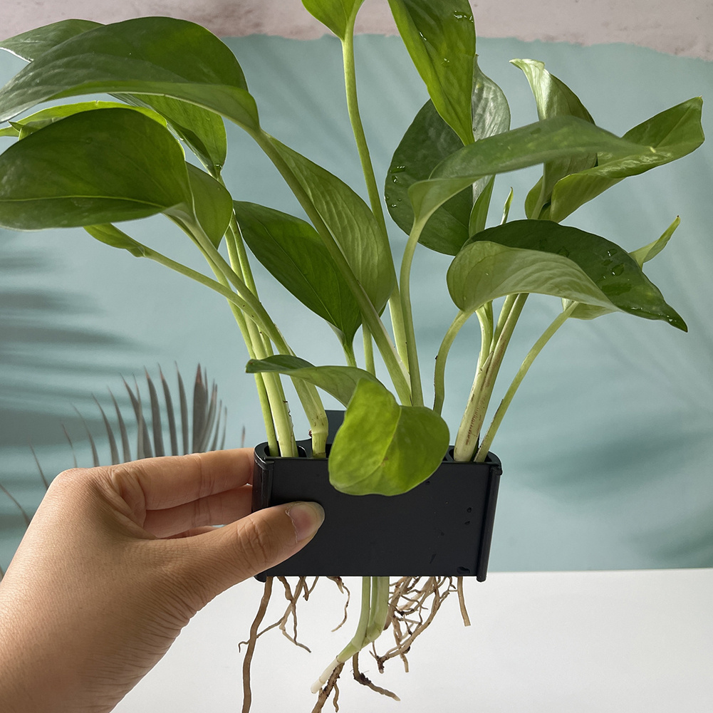 Suporte de planta de aquário c - Planted Aquarium Maintenance avaliação e preço