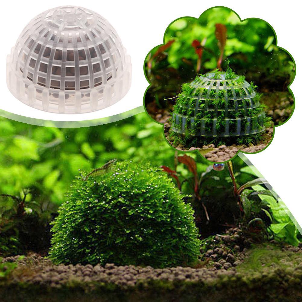 1/2/3/4/5 Peças de Plantas Dec - Planted Aquarium Moss avaliação e preço