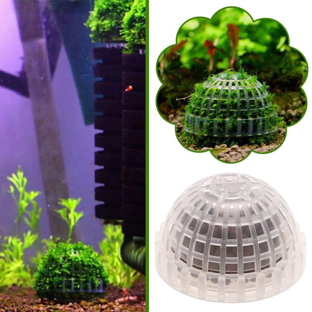 1/2/3/4/5 Peças de Plantas Dec - Planted Aquarium Moss avaliação e preço