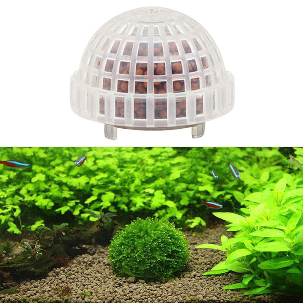 1/2/3/4/5 Peças de Plantas Dec - Planted Aquarium Moss avaliação e preço