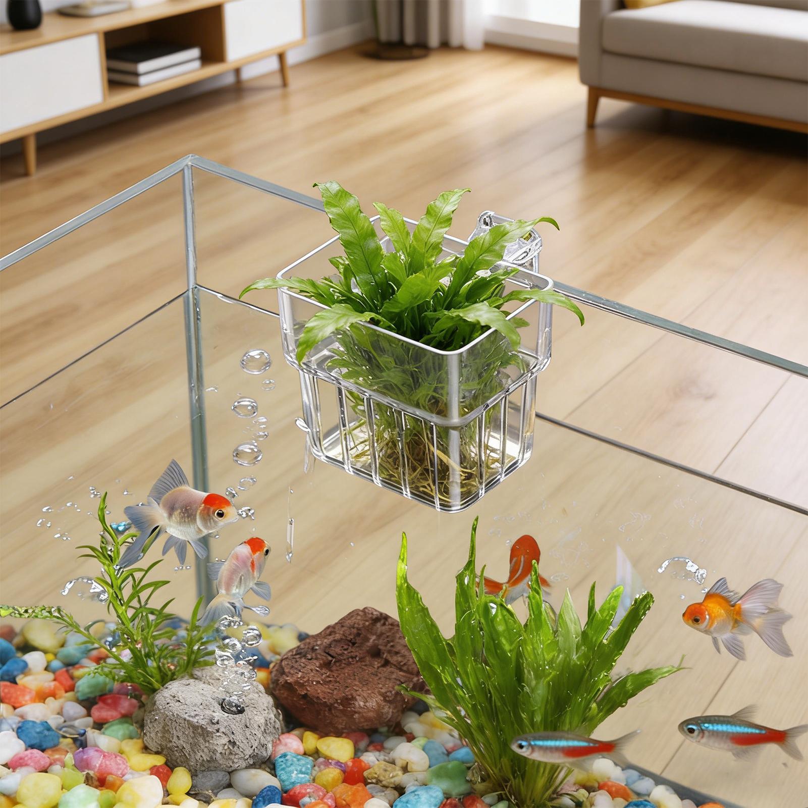Suporte Transparente Penduráve - Aquarium Plant Live avaliação e preço