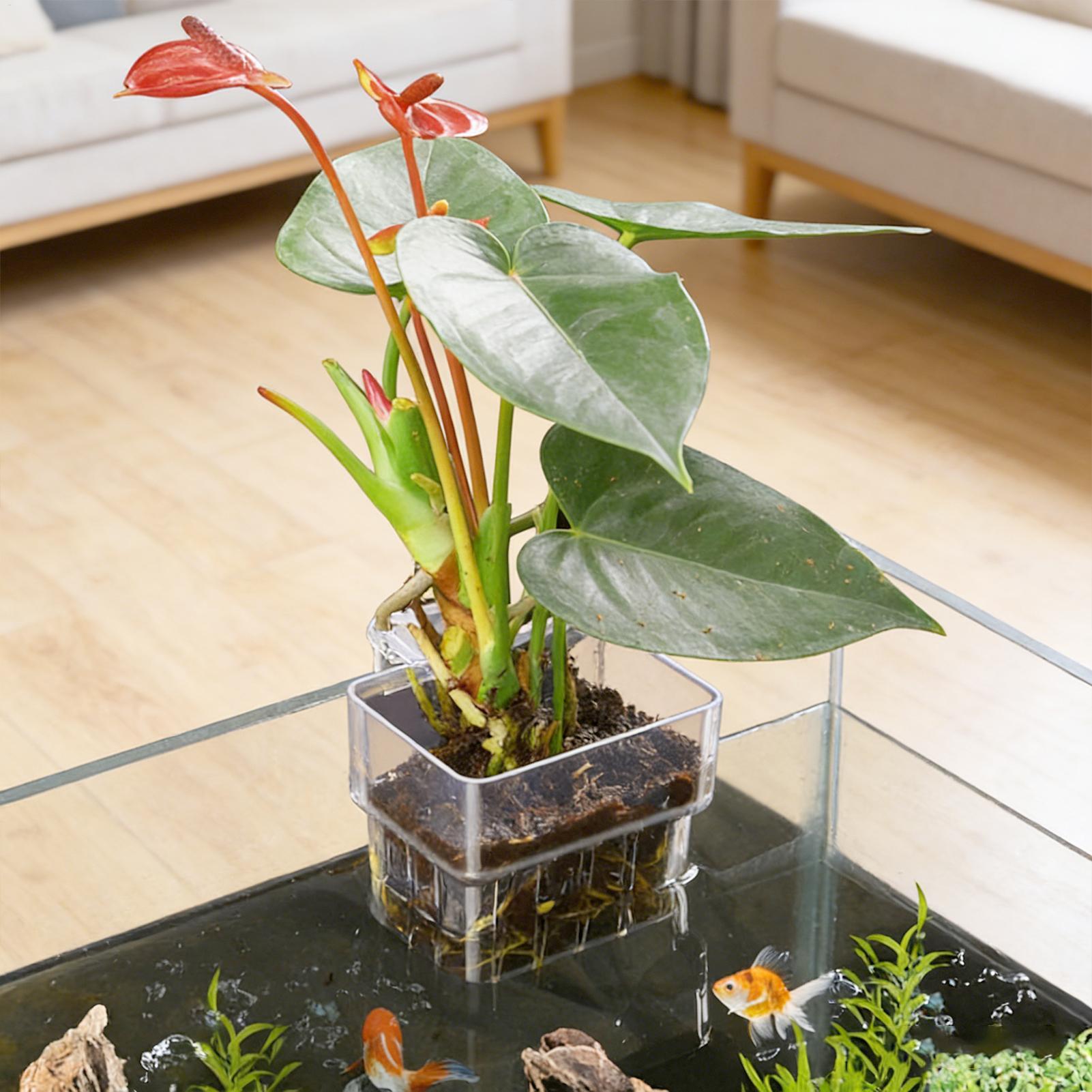 Suporte Transparente Penduráve - Aquarium Plant Live avaliação e preço